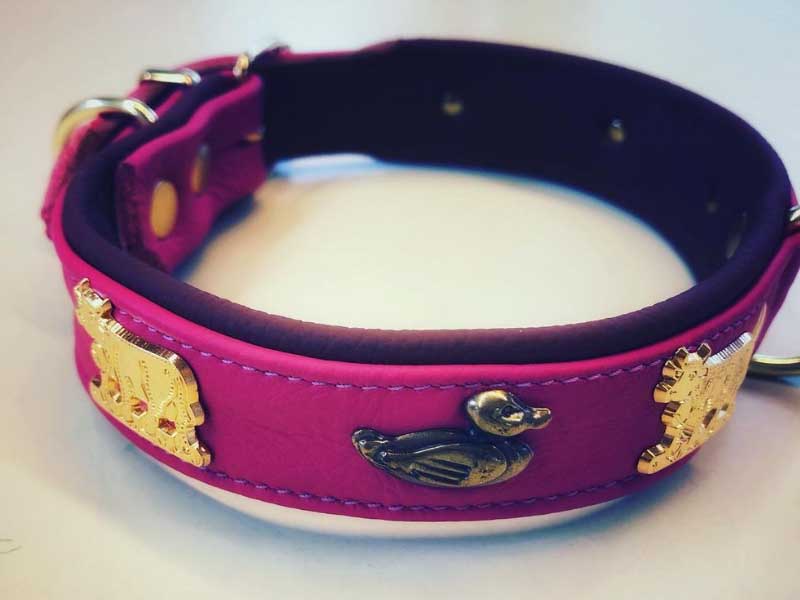 groba - Rund ums Tier_0001_Ebene 15