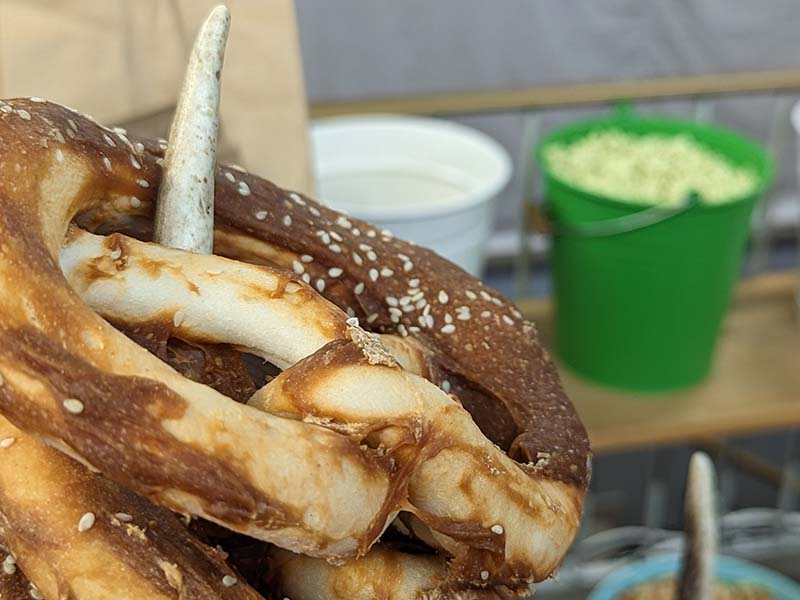 groba - Rund ums Tier_0005_PXL_20230312_143837033.PORTRAIT