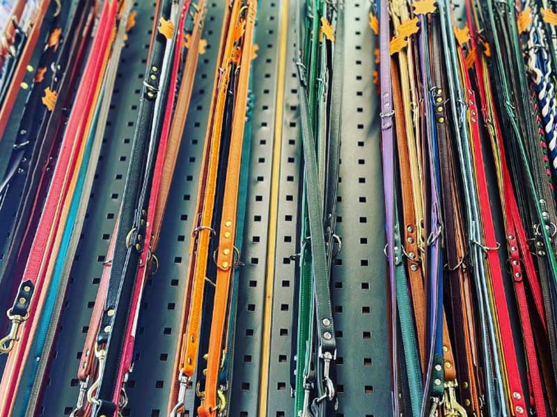 groba - Rund ums Tier_0015_Ebene 1