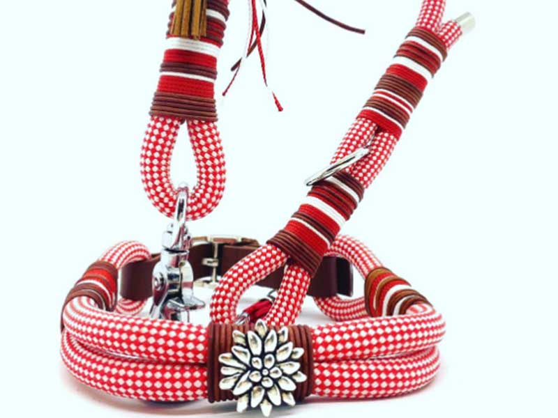 groba - Rund ums Tier_0018_Screenshot 2023-03-09 151052