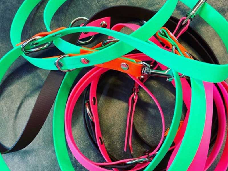 groba - Rund ums Tier_0019_Screenshot 2023-03-09 151039