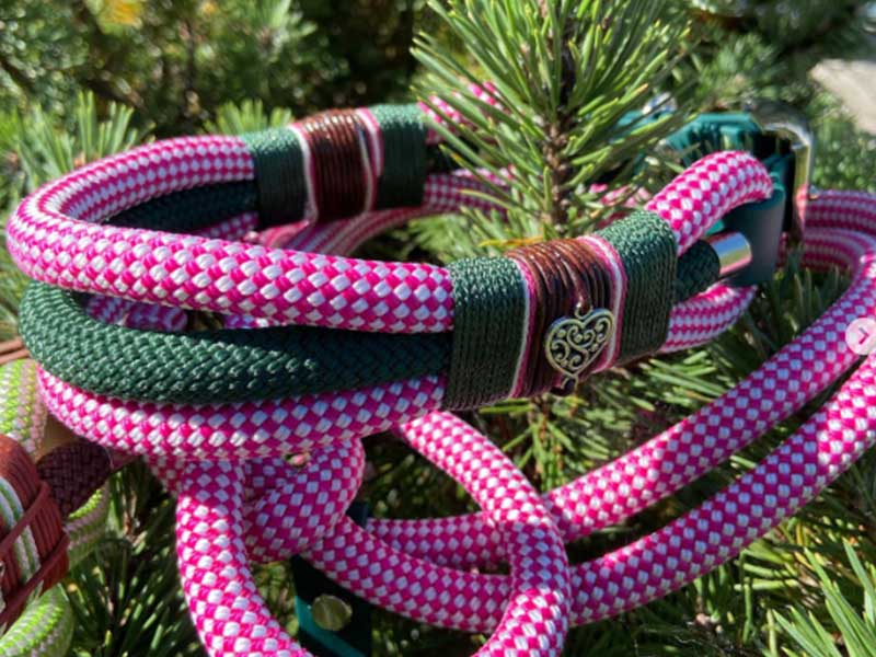 groba - Rund ums Tier_0020_Screenshot 2023-03-09 151029