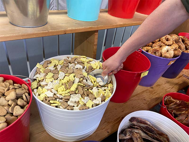 groba - Rund ums Tier_0021_IMG_9120