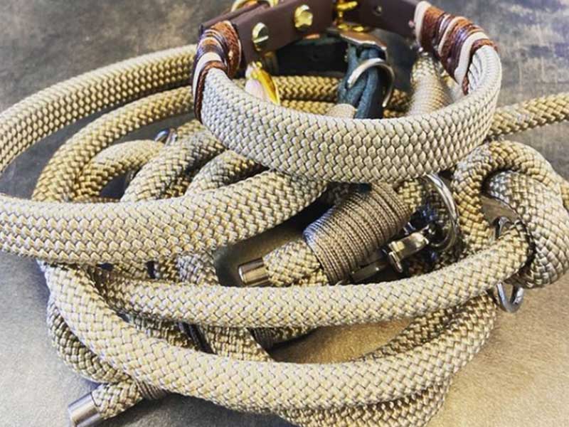 groba - Rund ums Tier_0021_Screenshot 2023-03-09 151020