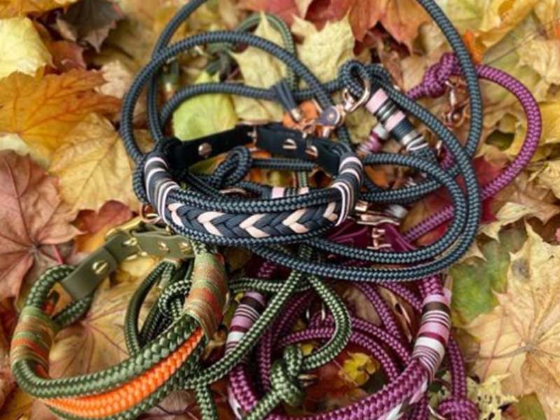 groba - Rund ums Tier_0022_Screenshot 2023-03-09 151010