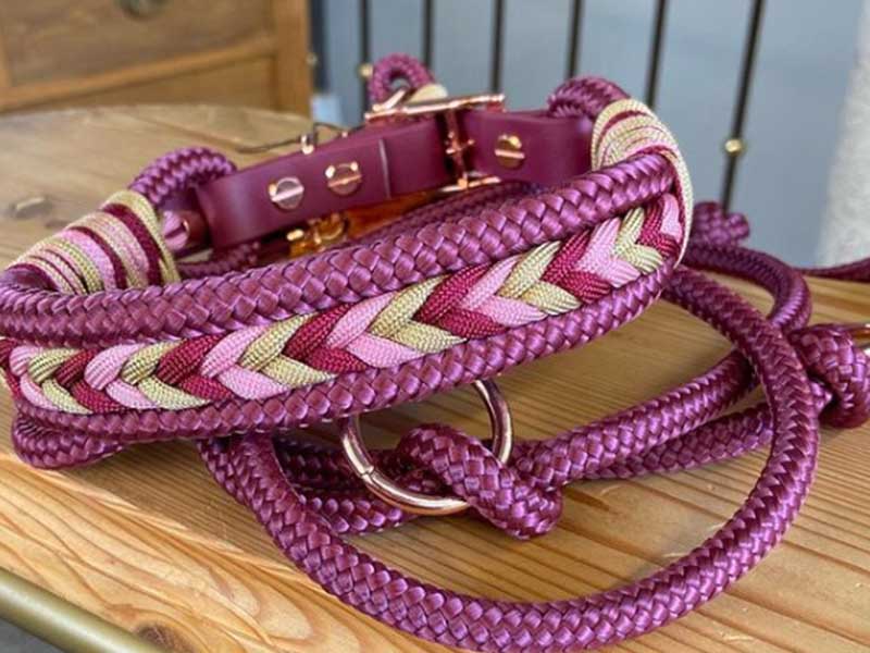 groba - Rund ums Tier_0023_Screenshot 2023-03-09 151002