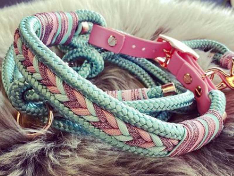 groba - Rund ums Tier_0024_Screenshot 2023-03-09 150953